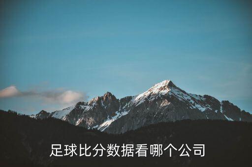  足球比分?jǐn)?shù)據(jù)看哪個(gè)公司