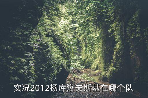 實況2012揚庫洛夫斯基在哪個隊