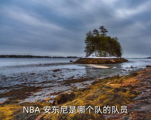 NBA 安東尼是哪個(gè)隊的隊員