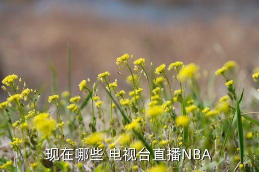 現(xiàn)在哪些 電視臺(tái)直播NBA