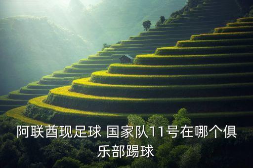 阿聯(lián)酋現(xiàn)足球 國家隊11號在哪個俱樂部踢球