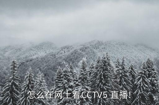 哪個(gè)網(wǎng)站直播中央5,在線看cctv5體育賽事直播有三種方式