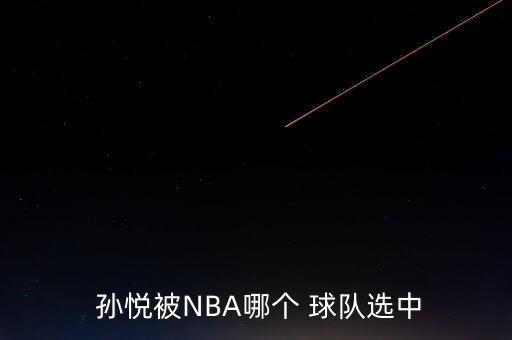  孫悅被NBA哪個 球隊選中