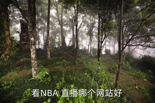 看NBA 直播哪個(gè)網(wǎng)站好