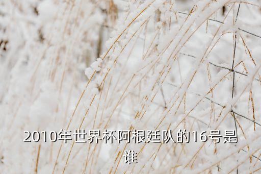 16號是哪個(gè)足球明星,我和你一樣希望被尊重!