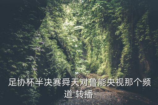 足協(xié)杯哪個(gè)臺(tái)有轉(zhuǎn)播,中國(guó)央視有情而無(wú)心放棄直播足協(xié)杯比賽