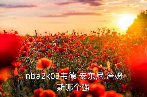 nba安東尼 詹姆斯哪個(gè)厲害,三人各有所長(cháng)球風(fēng)球技都挺好的