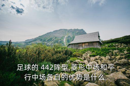 足球陣營442哪個(gè)球隊(duì),442陣型四后衛(wèi)五中場六前鋒