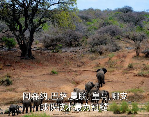  阿森納,巴薩,曼聯(lián), 皇馬,哪支球隊技術(shù)最為粗糙