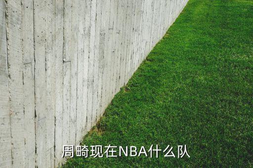 周畸現在NBA什么隊