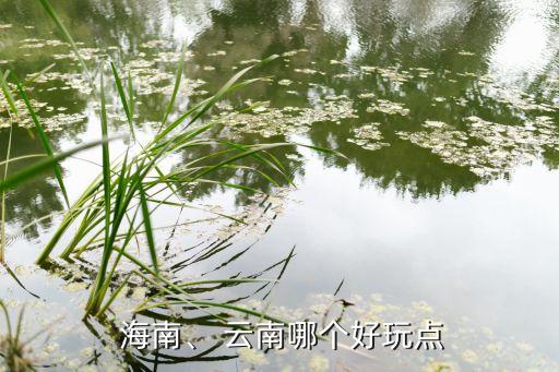 云南海南哪個(gè)好,現在去海南明年春天去云南因為春天會(huì )更美