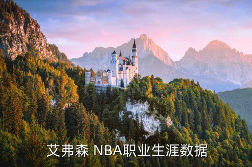  艾弗森 NBA職業(yè)生涯數據