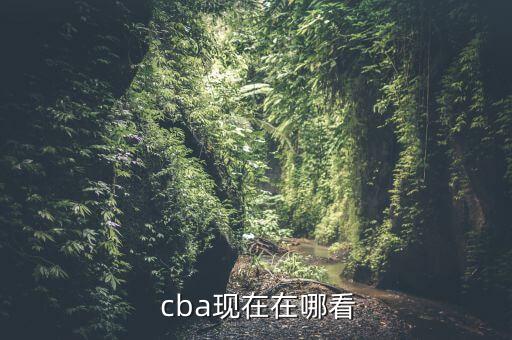 cba直播手機哪個能看到,第一集:總決賽直播