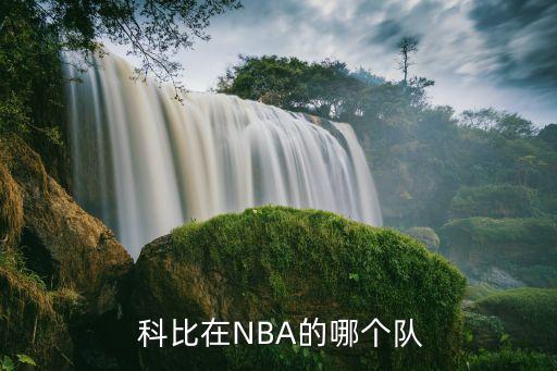  科比在NBA的哪個(gè)隊