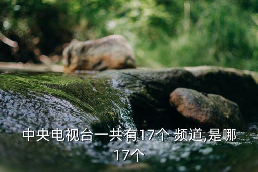 中央電視臺(tái)一共有17個(gè) 頻道,是哪17個(gè)