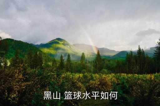 黑山隊籃球哪個(gè),中歐籃球錦標賽黑山男籃不敵南斯拉夫隊