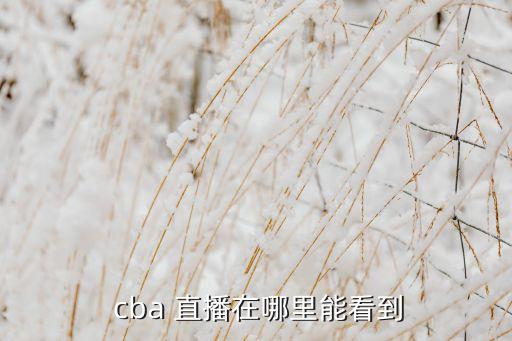  cba 直播在哪里能看到