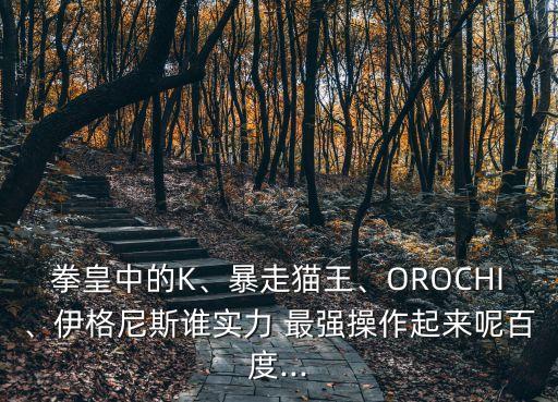 拳皇中的K、暴走貓王、OROCHI、伊格尼斯誰實力 最強操作起來呢百度...