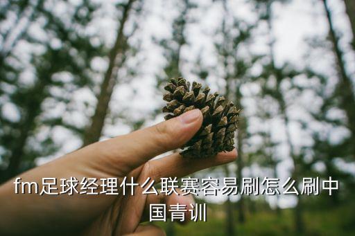 fm足球經(jīng)理什么聯(lián)賽容易刷怎么刷中國青訓