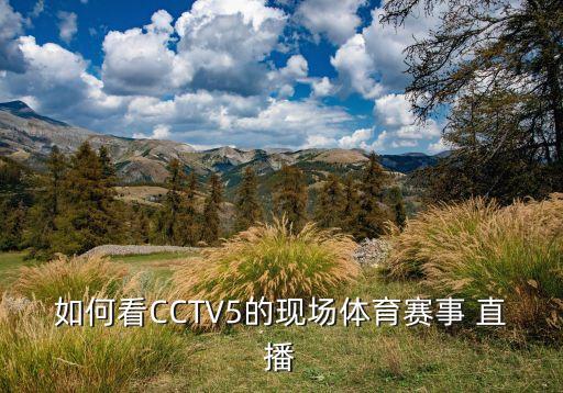 如何看CCTV5的現場(chǎng)體育賽事 直播