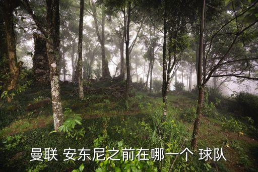 曼聯(lián) 安東尼之前在哪一個(gè) 球隊