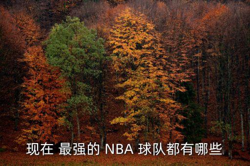 現(xiàn)在 最強的 NBA 球隊都有哪些