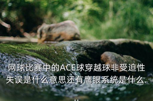 網(wǎng)球比賽中的ACE球穿越球非受迫性失誤是什么意思還有鷹眼系統(tǒng)是什么...