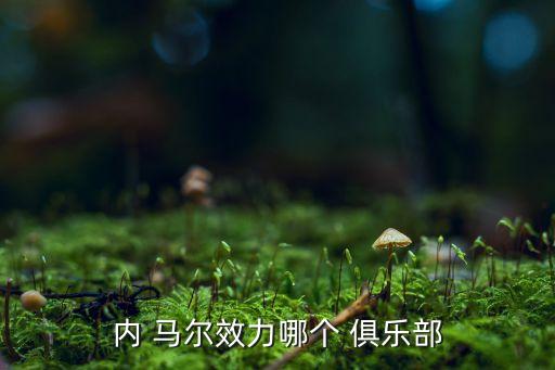 內(nèi)馬爾哪個俱樂部,馬爾大席·桑托斯簡稱nei馬爾