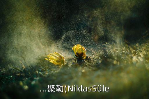 ...聚勒(NiklasSüle