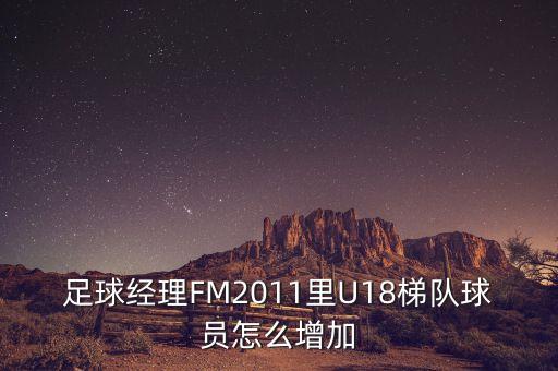 足球經(jīng)理FM2011里U18梯隊球員怎么增加