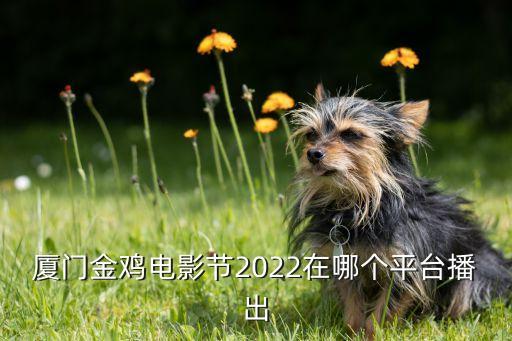 廈門(mén)金雞電影節2022在哪個(gè)平臺播出