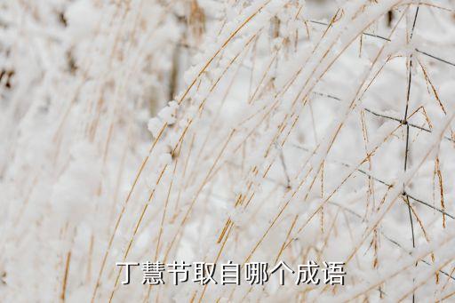  丁慧節(jié)取自哪個(gè)成語(yǔ)