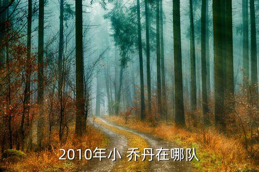 2010年小 喬丹在哪隊