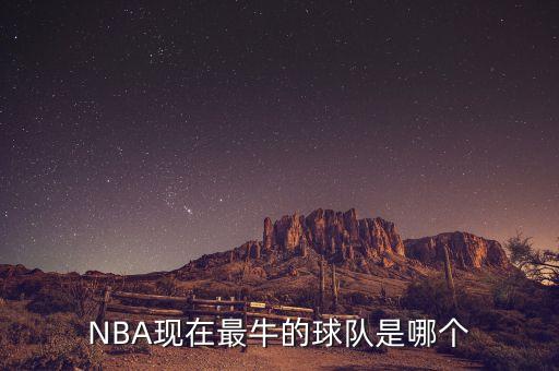 活塞和奇才哪個(gè)厲害,我個(gè)人總結:nba總冠軍還是有希望