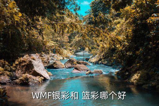 WMF銀彩和 籃彩哪個(gè)好