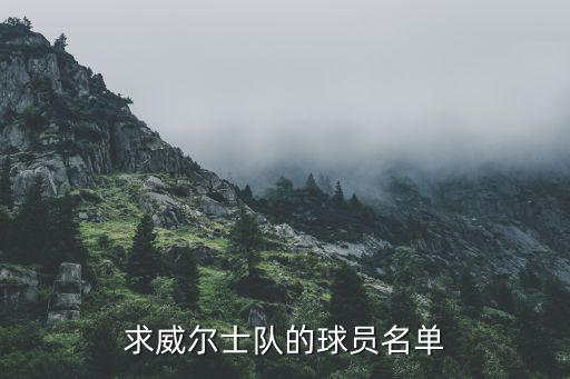 求威爾士隊(duì)的球員名單