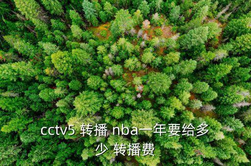 cctv5 轉播 nba一年要給多少 轉播費