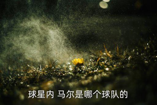 球星內(nèi) 馬爾是哪個球隊的