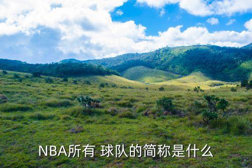 NBA所有 球隊的簡(jiǎn)稱(chēng)是什么