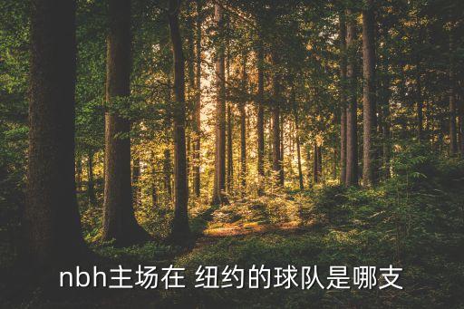 nbh主場(chǎng)在 紐約的球隊(duì)是哪支