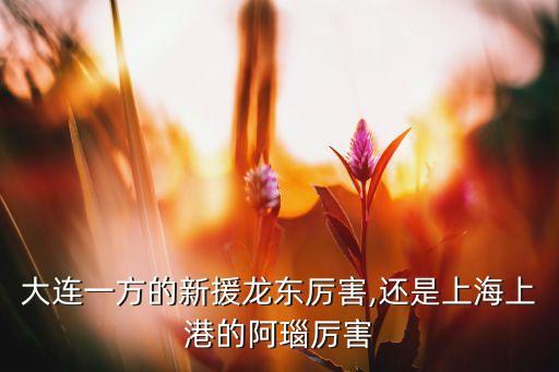 阿瑙托維奇在哪個(gè)隊(duì),英超球隊(duì)簽下不來(lái)梅前鋒阿瑙托-1/