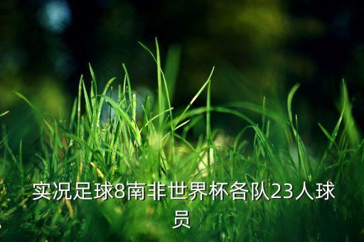  實(shí)況足球8南非世界杯各隊23人球員