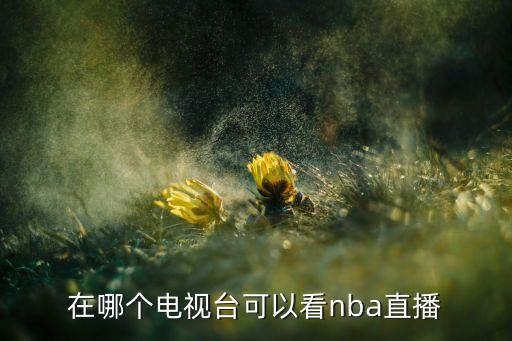 在哪個電視臺可以看nba直播