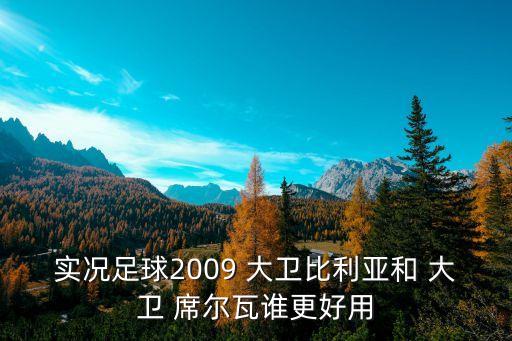 實(shí)況足球2009 大衛(wèi)比利亞和 大衛(wèi) 席爾瓦誰更好用