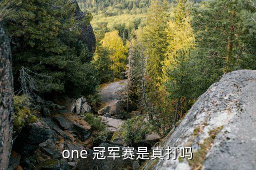 one冠軍賽是哪個國家,馬尼拉one冠軍賽即將開始