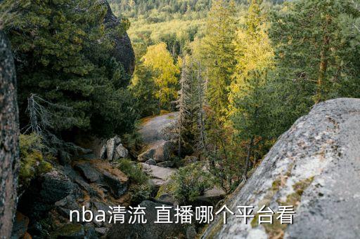 今天哪個(gè)臺(tái)直播nba,nba首次轉(zhuǎn)播央視的原因是什么?