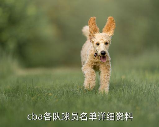  cba各隊球員名單詳細資料