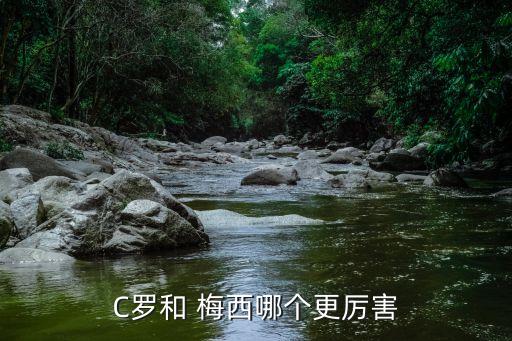 C羅和 梅西哪個(gè)更厲害