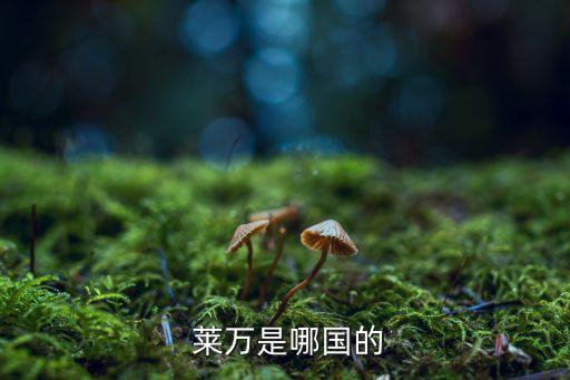 萊萬多夫斯基在哪個(gè)隊(duì),萊萬多夫斯基在拜仁成為偉大9號(hào)