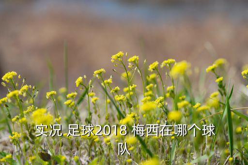  實(shí)況 足球2018 梅西在哪個(gè)球隊